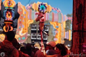 Wildhorsesfestival 1739865047 3570569265394488545 8033378663
